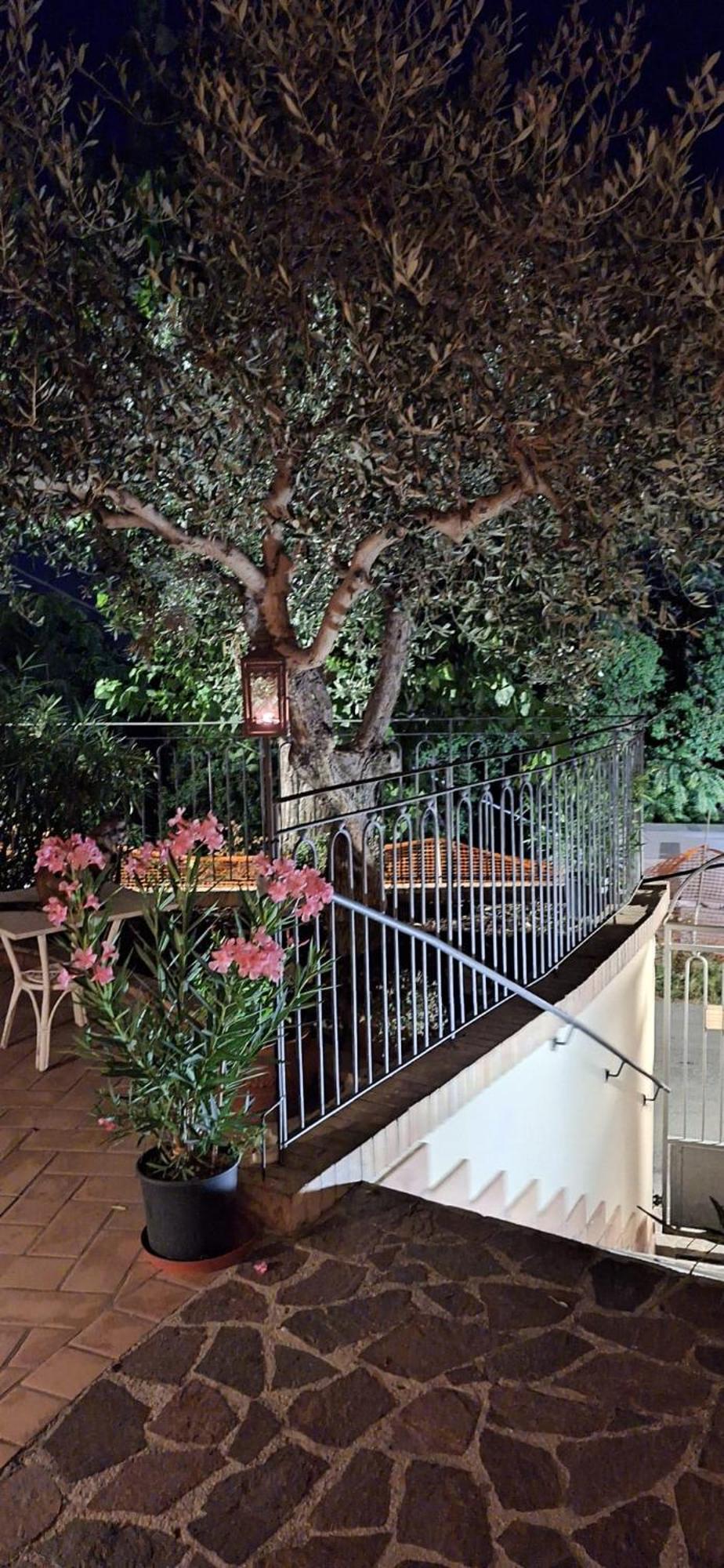 B&B Palazzo Mestichelli Boutique Palace Monteprandone Luaran gambar
